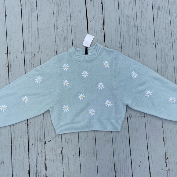 H&M Sweaters - NWT H&M embroidered daisy blue